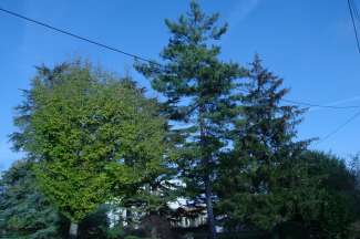 DSC04810.JPG